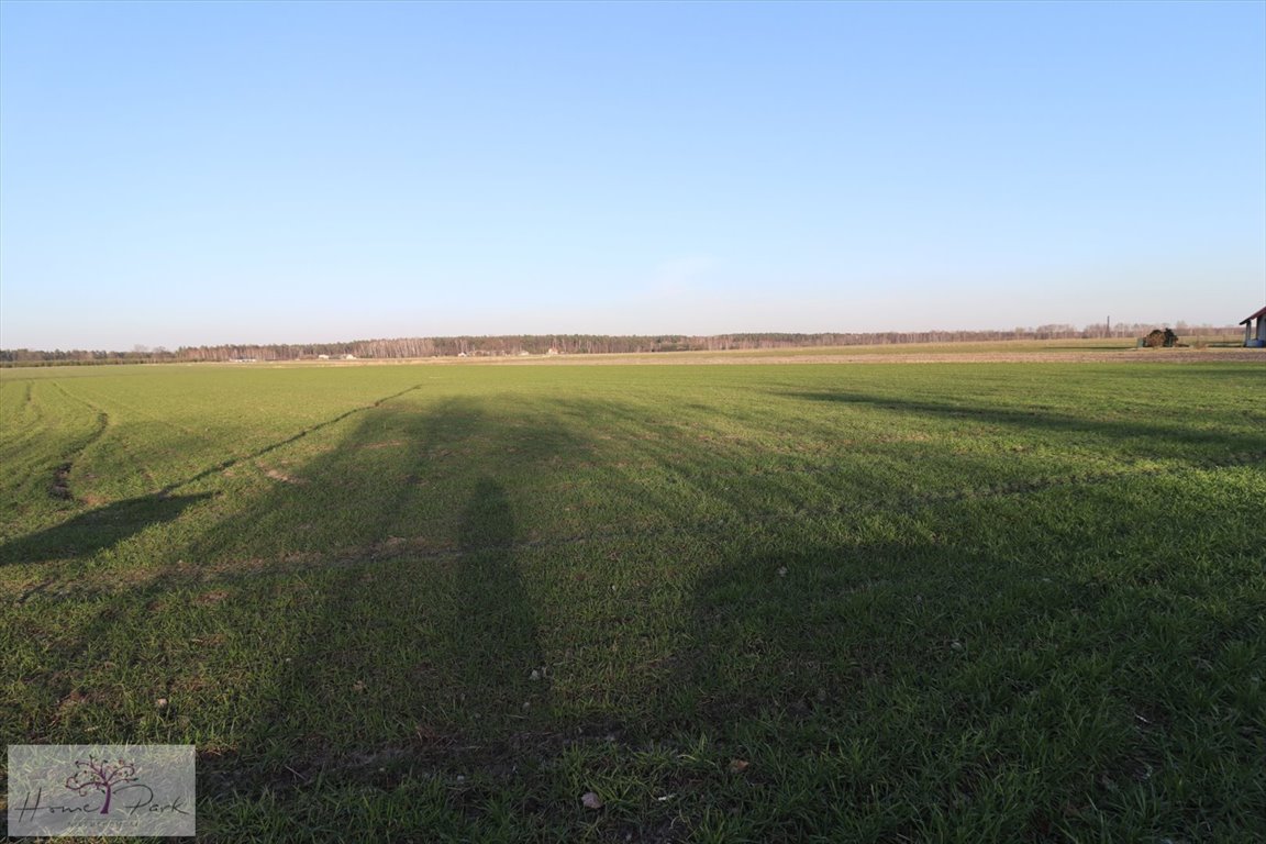 Działka budowlana na sprzedaż Piorunów, Piorunówek  3 000m2 Foto 1