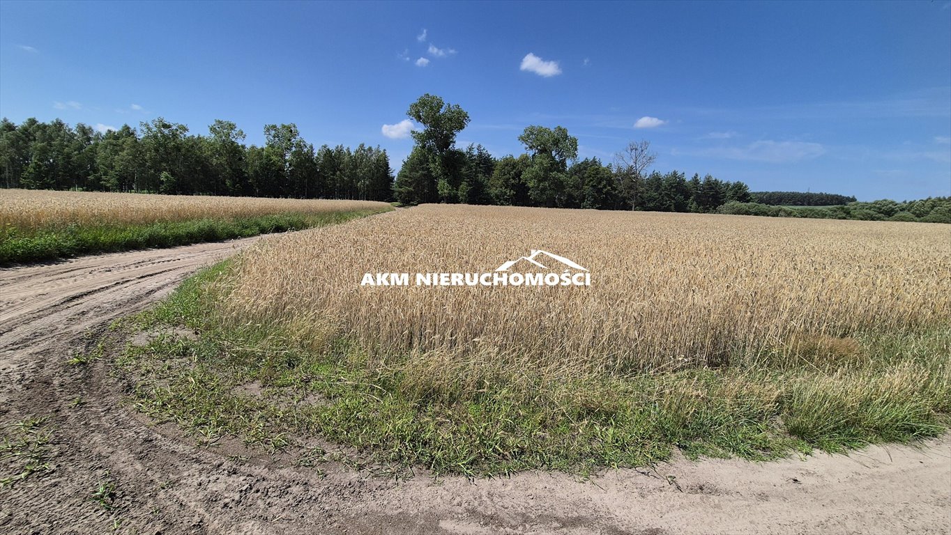 Działka inna na sprzedaż Franciszkowo  20 500m2 Foto 5