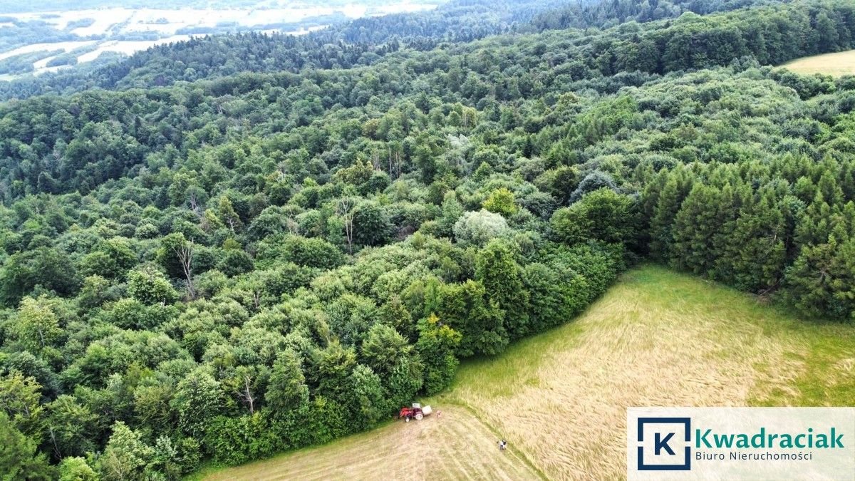 Działka leśna na sprzedaż Stary Żmigród  96 100m2 Foto 11