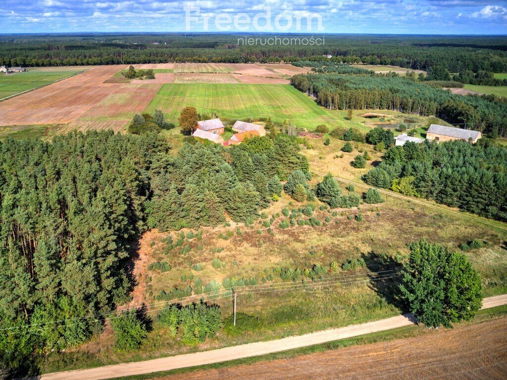 Dom na sprzedaż Jędrzejewo  300m2 Foto 6