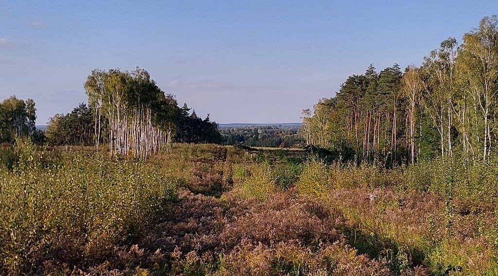 Dom na sprzedaż Łódź, Łagiewniki, Łagiewniki  157m2 Foto 15