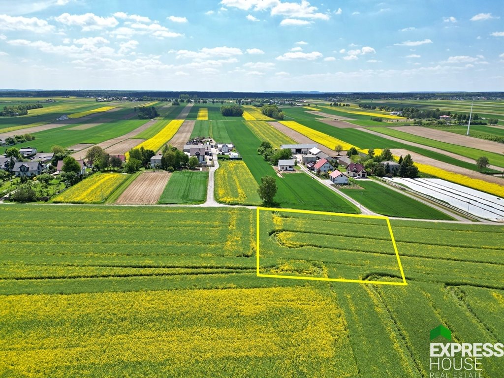 Działka budowlana na sprzedaż Wilczopole-Kolonia, Żurawinowa  3 001m2 Foto 1