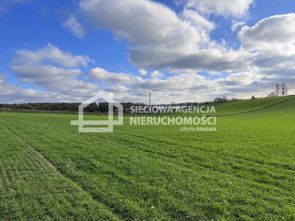 Działka budowlana na sprzedaż Dębogórze  1 000m2 Foto 5