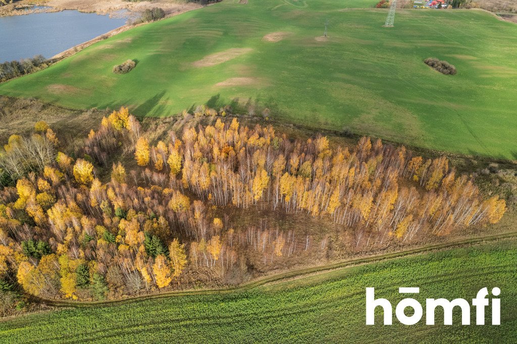 Działka rolna na sprzedaż Dźwierzuty  77 000m2 Foto 16