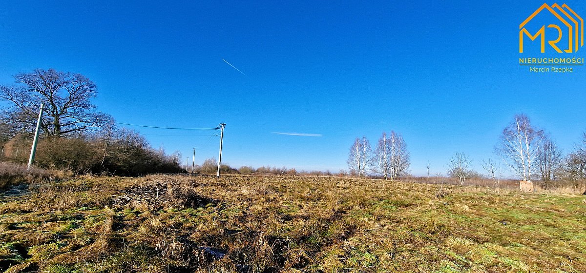 Działka budowlana na sprzedaż Krzeczów  850m2 Foto 5