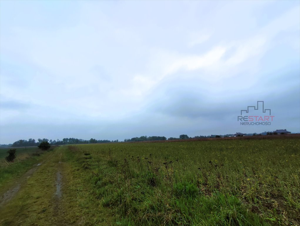 Duża działka 6600 m² z warunkami zabudowy (Nowe Faszczyce) Nowe Faszczyce  6 600m2 Foto 1