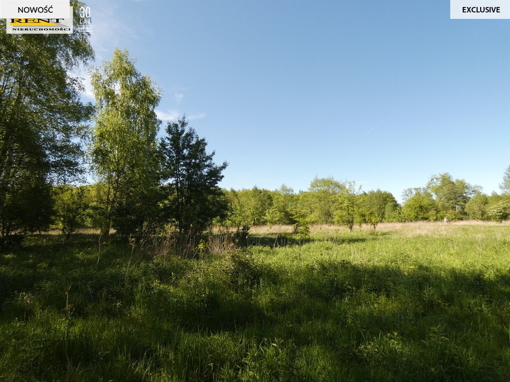 Działka budowlana na sprzedaż Łoźnica  3 004m2 Foto 5