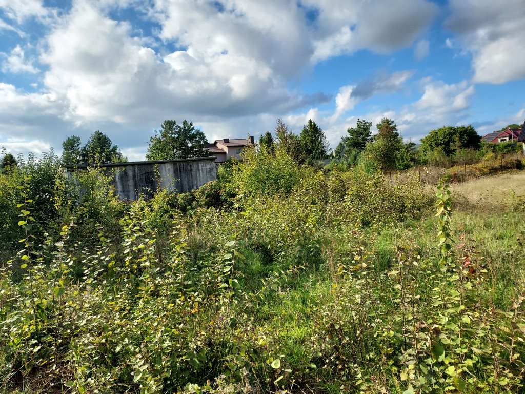 Działka budowlana na sprzedaż Orle  920m2 Foto 2