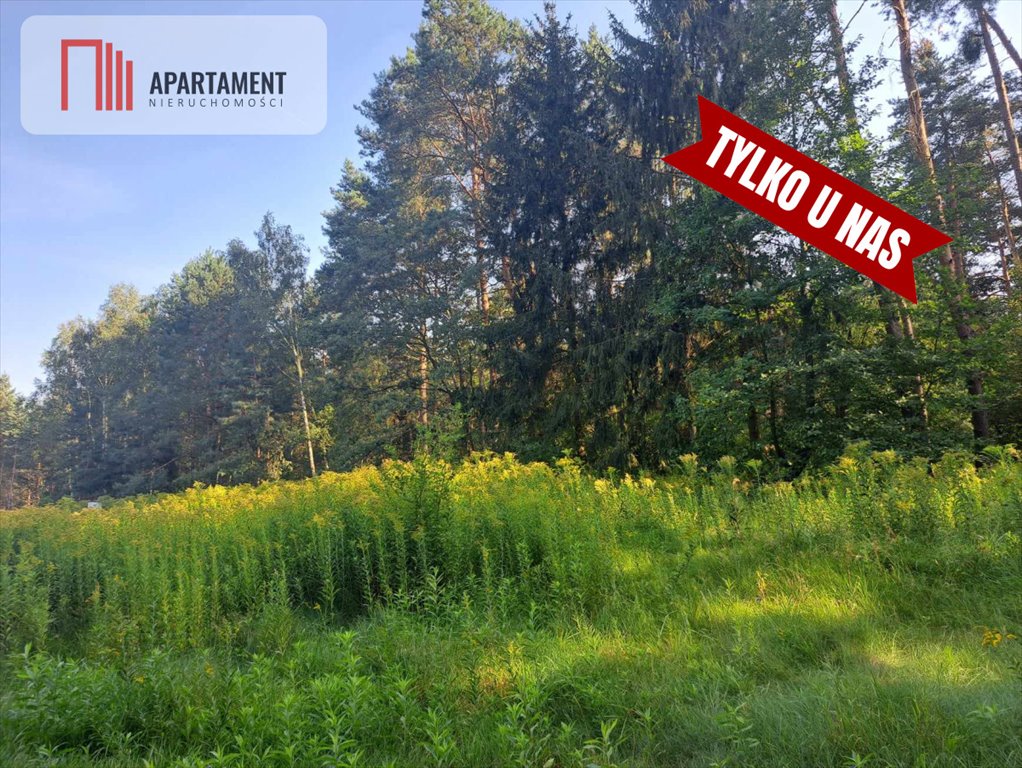 Działka budowlana na sprzedaż Miękinia, Klęka, Leśna  1 000m2 Foto 12