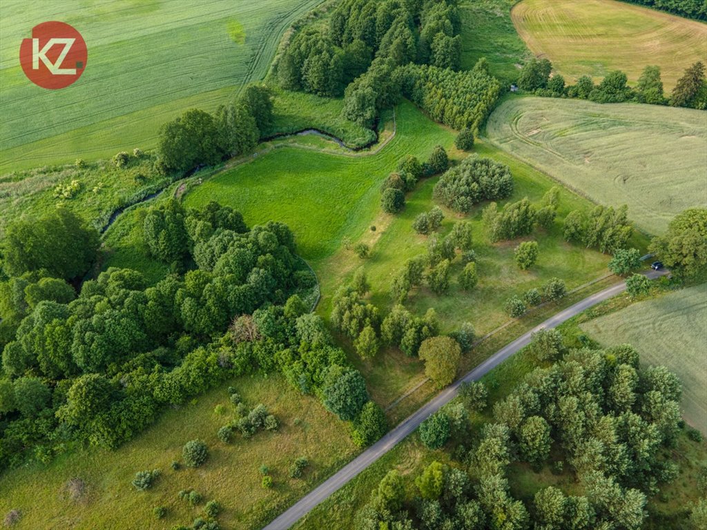 Działka budowlana na sprzedaż Żeleźnica  15 000m2 Foto 9