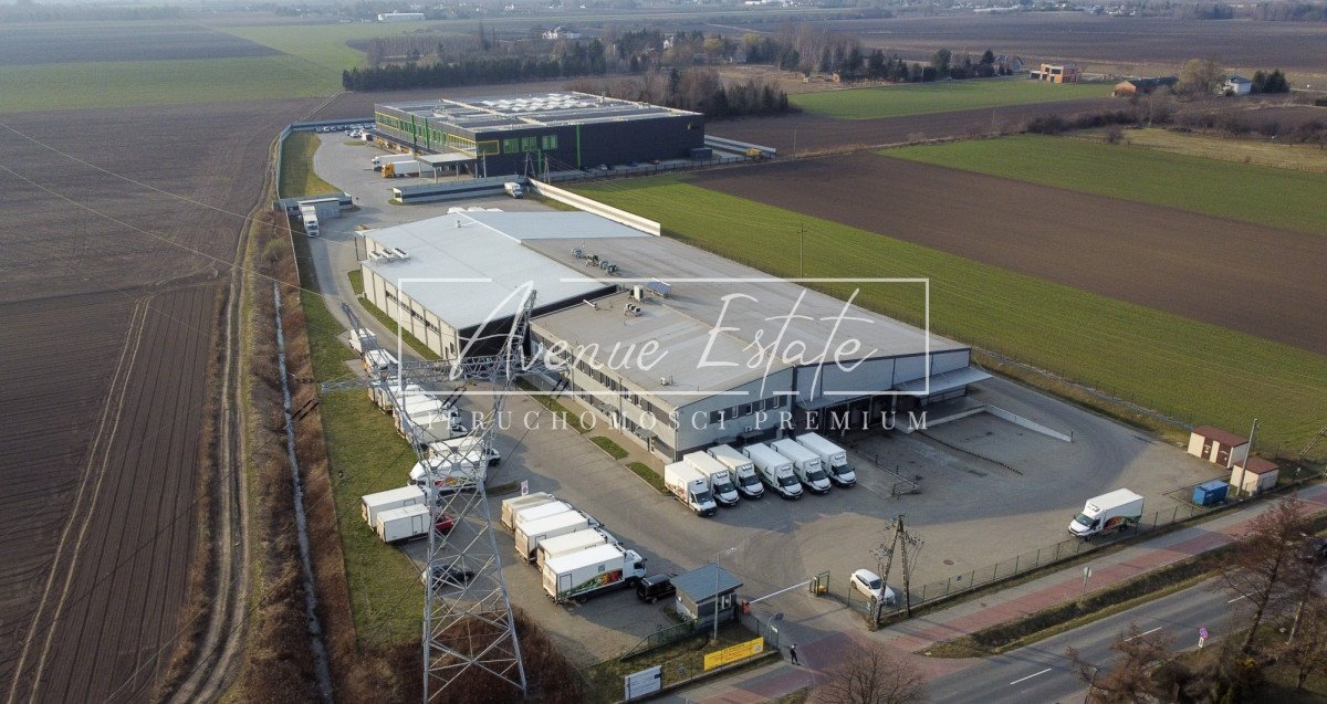 Polecam nowoczesny magazyn 5084 m² z chłodnią, dokami i monitoringiem Wieruchów  5 084m2 Foto 1