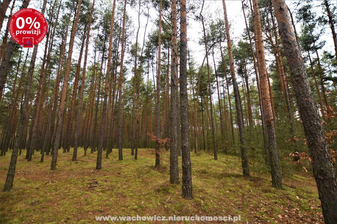 Działka leśna z prawem budowy na sprzedaż Szałas  30 400m2 Foto 5