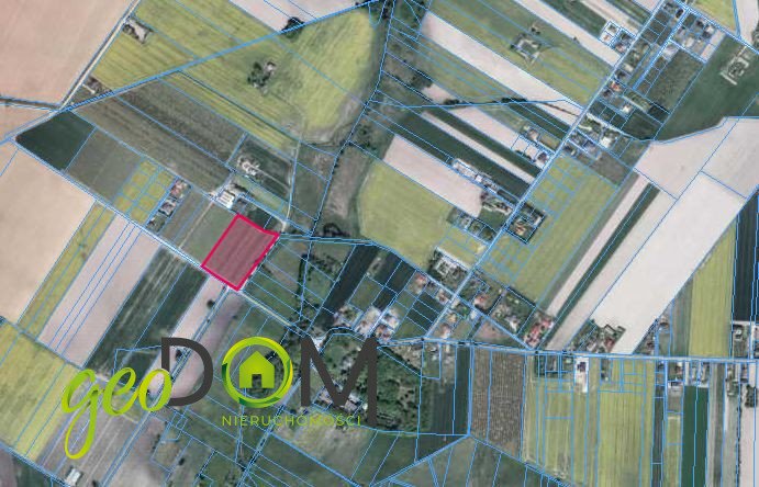 Działka inwestycyjna 14 600 m² z sadem, ogrodzona, blisko miasta Biała Podlaska, Kolonia Francuska  14 600m2 Foto 1