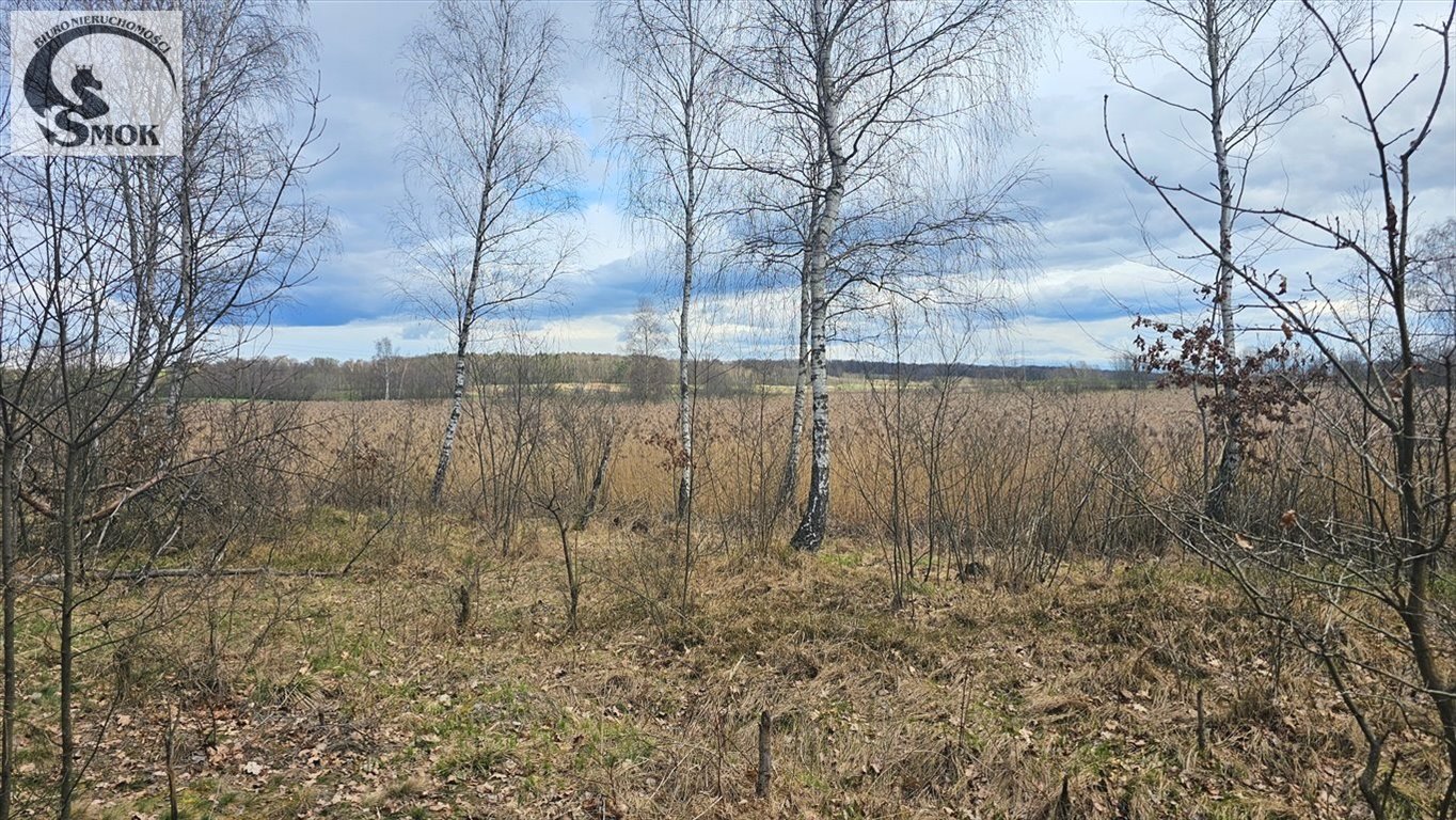 Działka rolna na sprzedaż Przeginia Narodowa  180 000m2 Foto 1