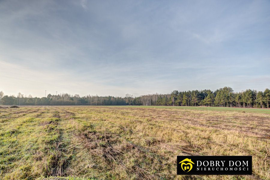 Działka 1300 m² z mediami i pięknymi widokami - Narewka Narewka  1 300m2 Foto 1