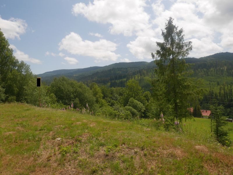 Działka budowlana na sprzedaż Wisła, Wisła  1 408m2 Foto 3