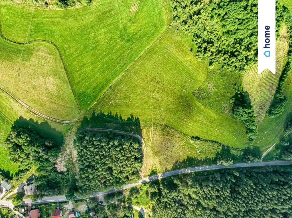 Działka budowlana na sprzedaż Łubiana, Leśna  1 000m2 Foto 3