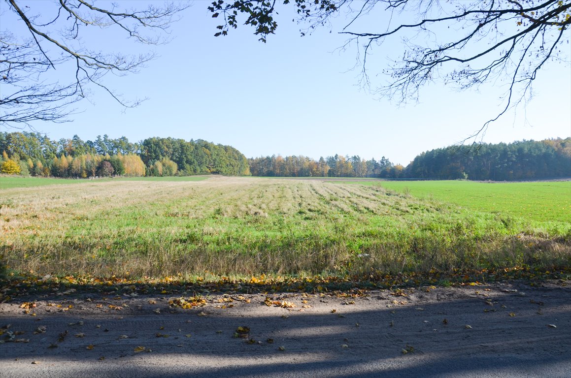 Działka siedliskowa na sprzedaż Borkowo  3 000m2 Foto 2