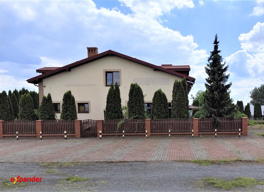 Zdjęcie 7