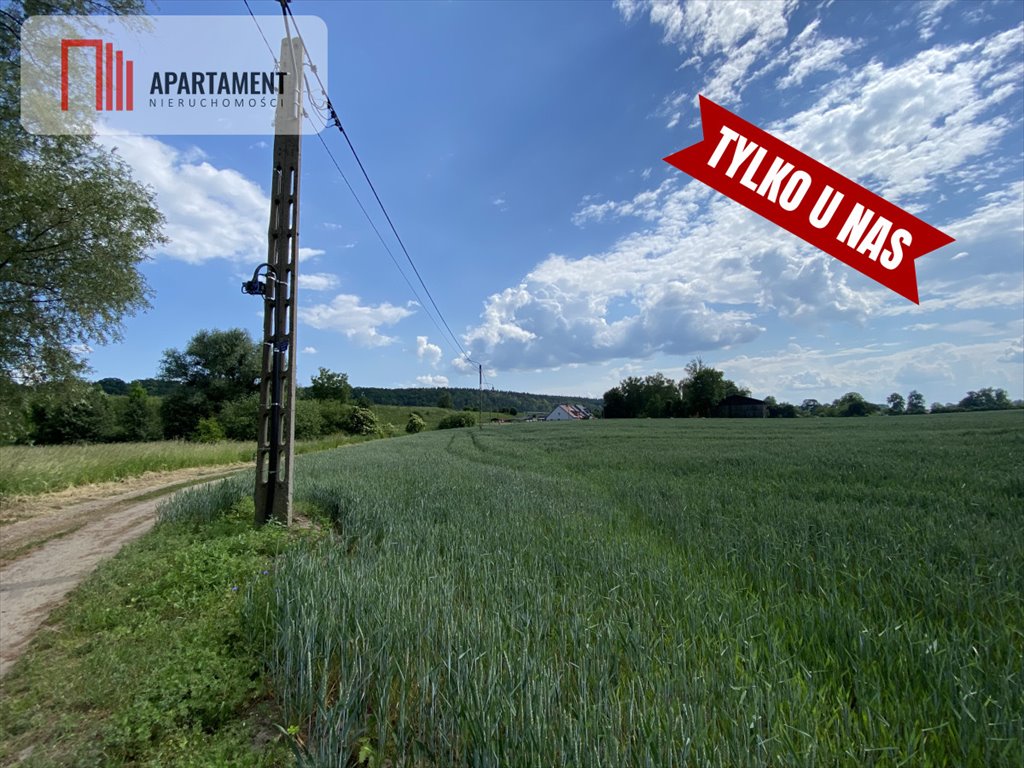 Działka budowlana na sprzedaż Pogorzała Wieś  1 000m2 Foto 6