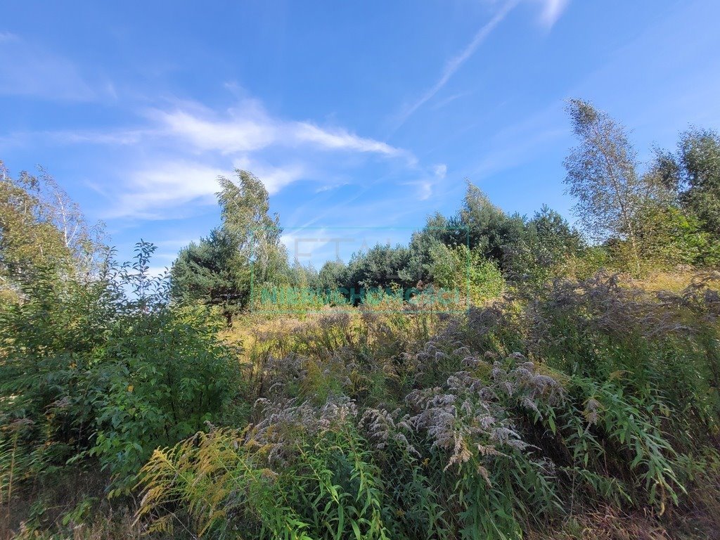 Działka budowlana na sprzedaż Musuły  1 500m2 Foto 9