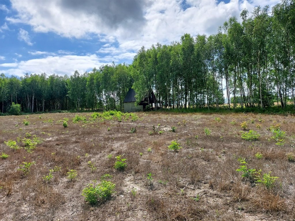 Działka inna na sprzedaż Niecenia  10 905m2 Foto 7