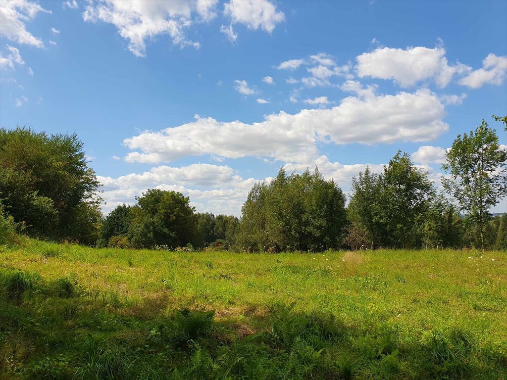 Działka budowlana na sprzedaż Tyczyn, Zagrody  1 825m2 Foto 7