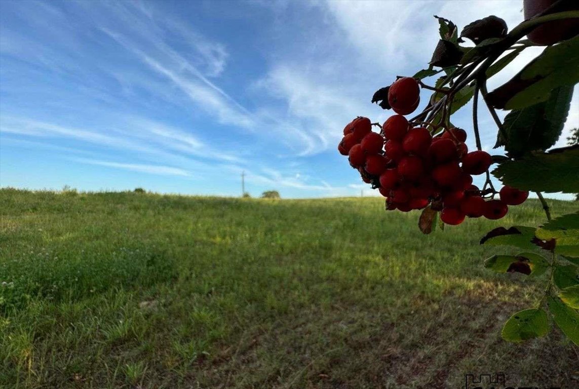 Działka budowlana na sprzedaż Chmielno  89 435m2 Foto 12