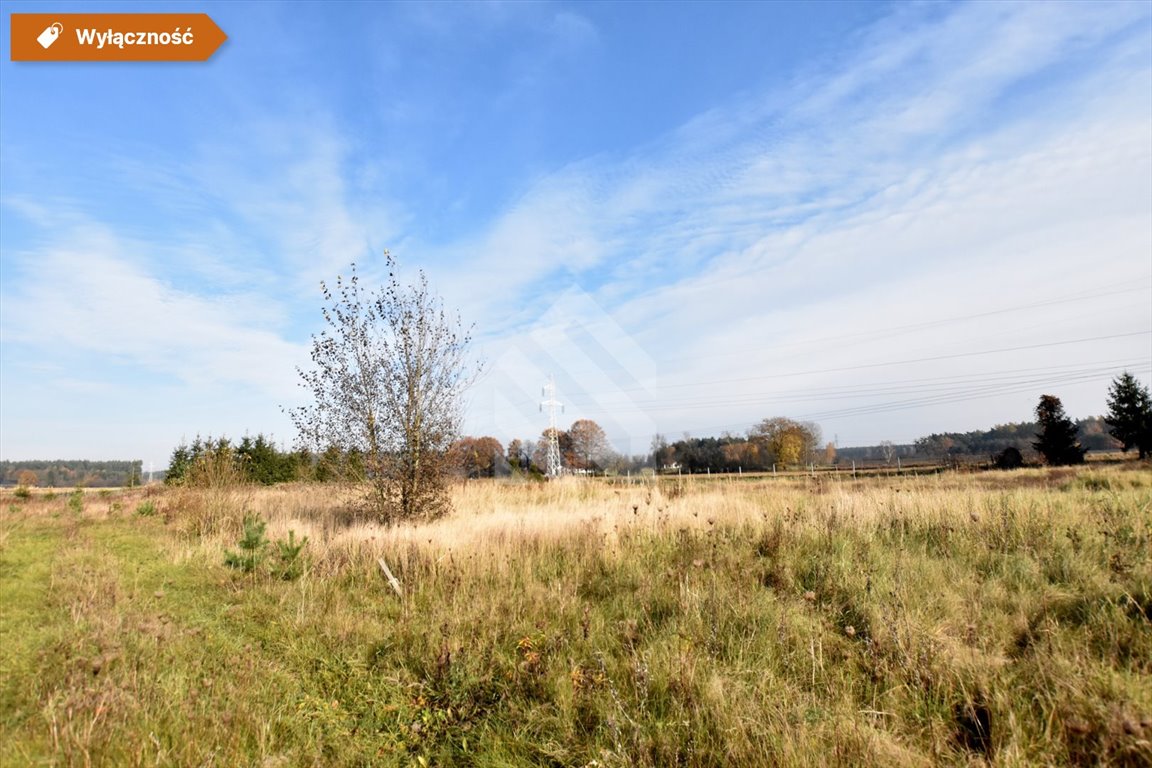 Działka budowlana na sprzedaż Leszyce  1 726m2 Foto 1