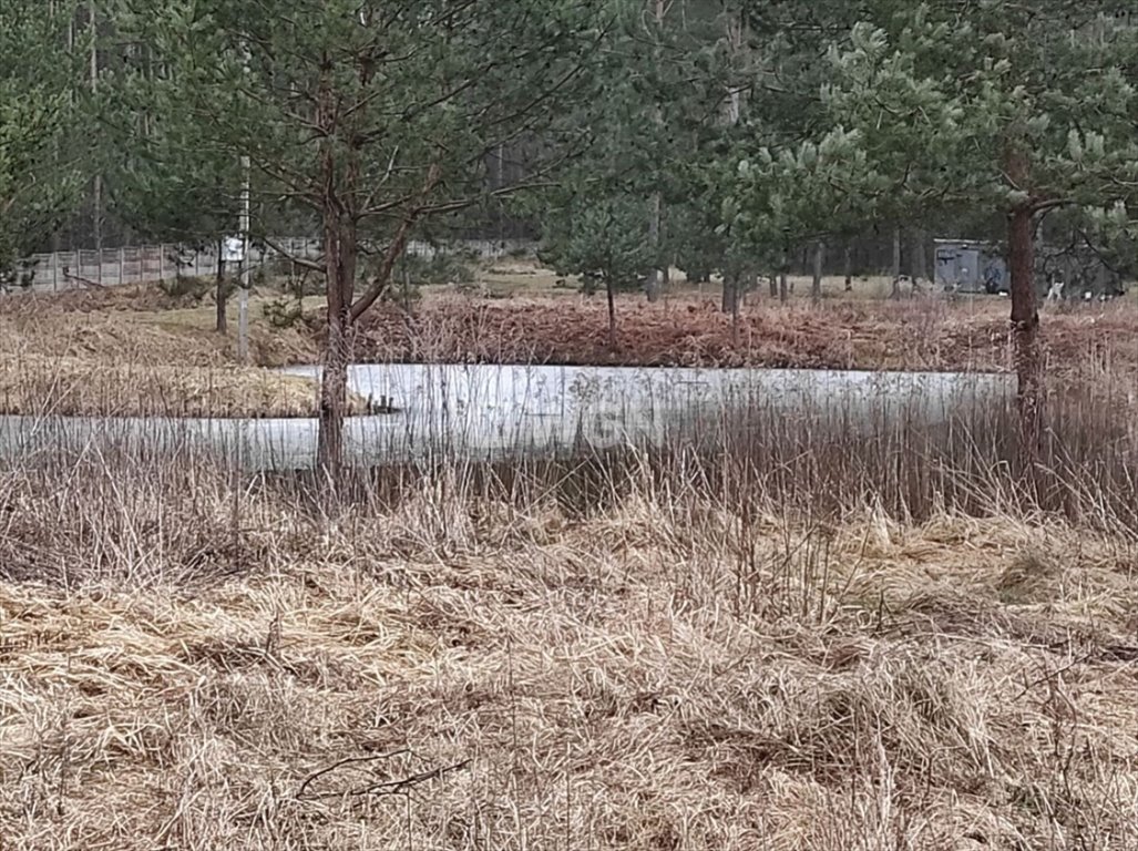 Działka budowlana na sprzedaż Prusicko, Rzędowie, Rzędowie  21 227m2 Foto 7