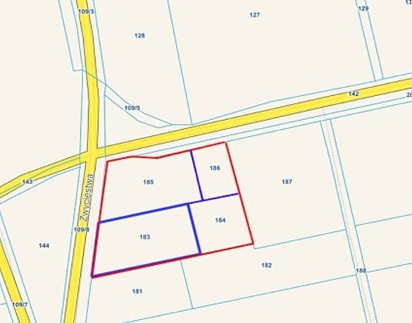 Działka przemysłowo-handlowa na sprzedaż Lichnowy  7 266m2 Foto 1