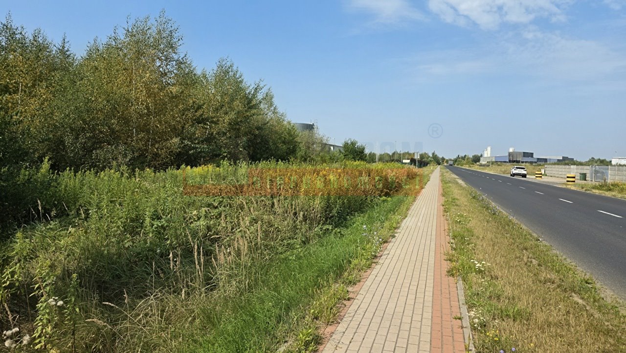 Zdjęcie 6