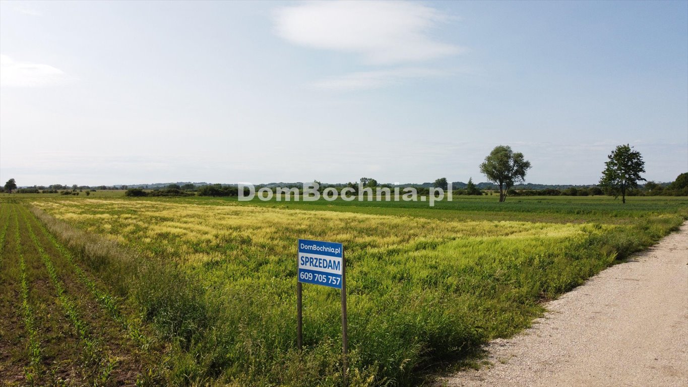 Działka budowlana na sprzedaż Strzelce Wielkie  3 188m2 Foto 1