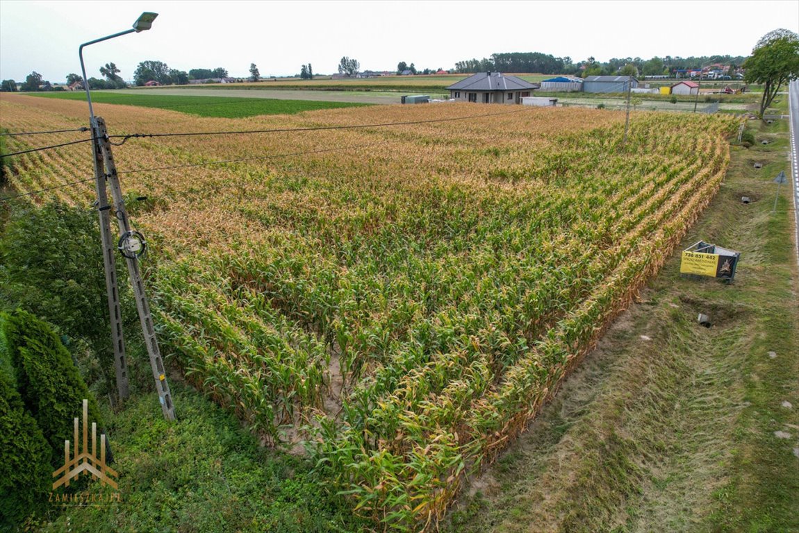 Działka przemysłowo-handlowa na sprzedaż Topólno, Muchowo  20 200m2 Foto 9