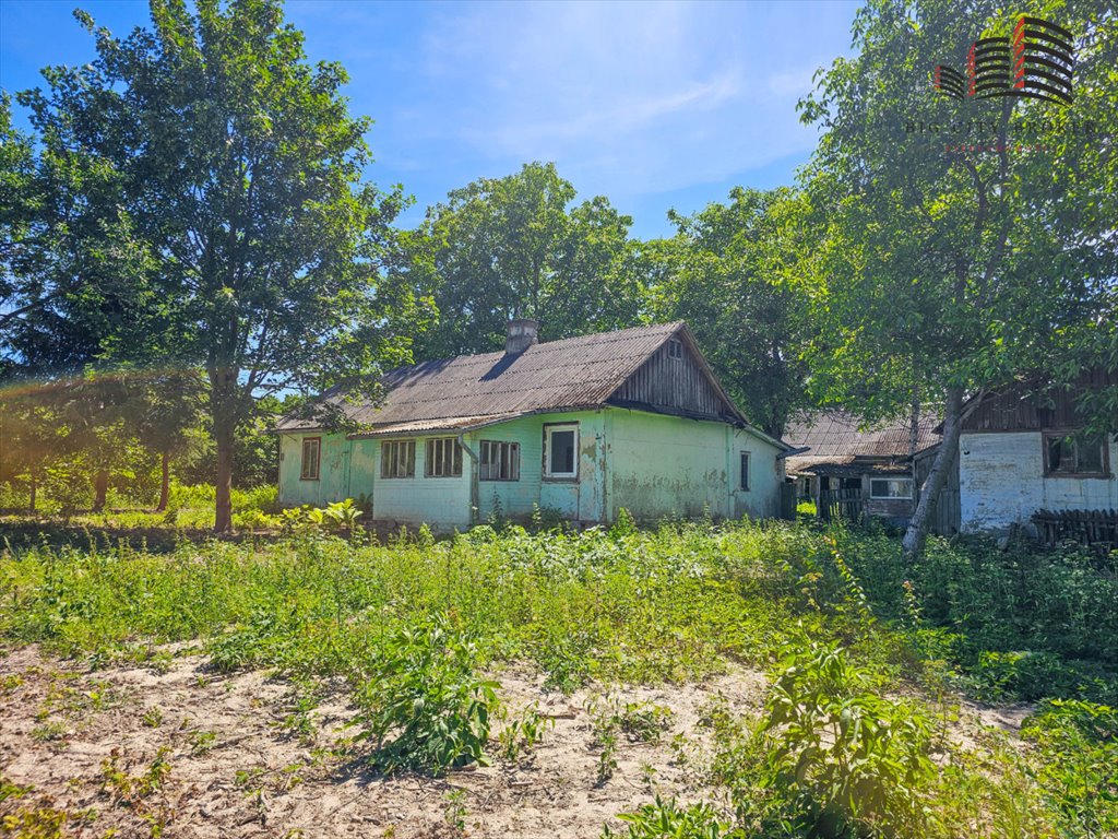 Siedlisko 80 m² z potencjałem (4 działki, las, pola) Boży Dar  80m2 Foto 1