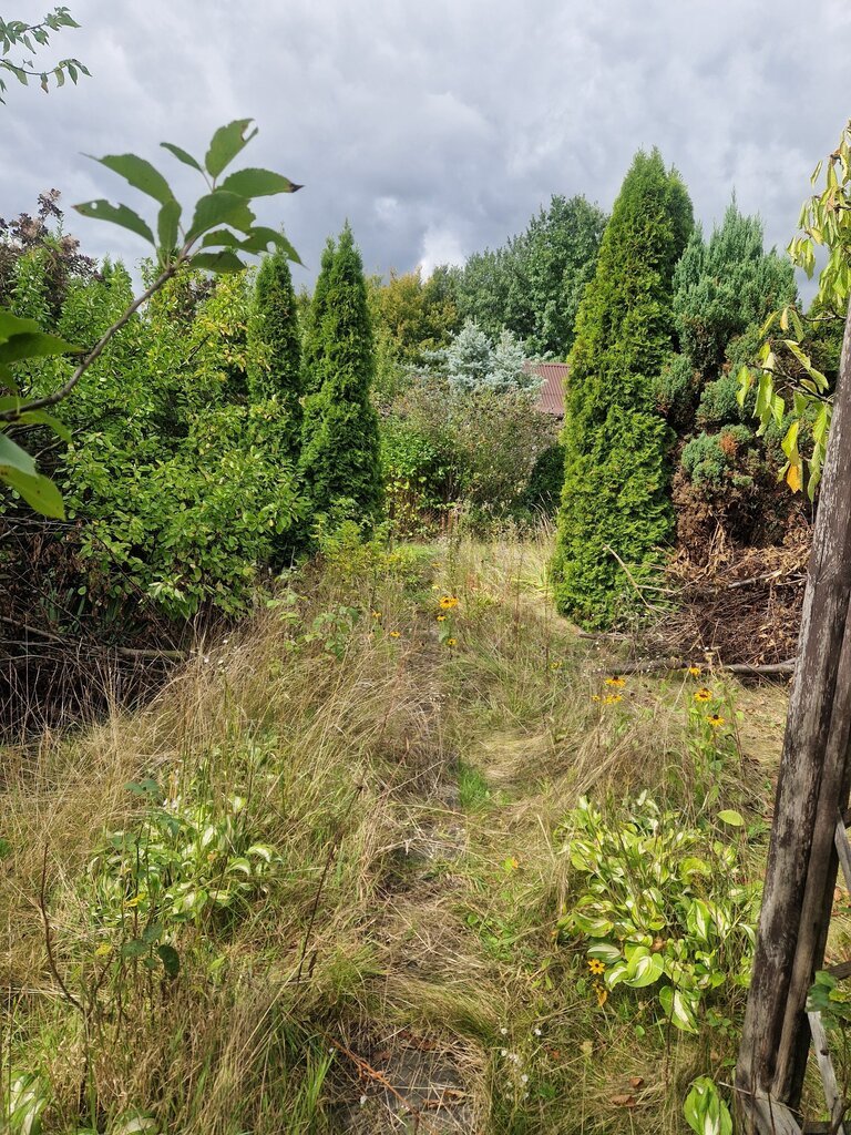 Działka 300 m² z domkiem na ROD Stokrotka - polecam Piotrków Trybunalski, Belzacka  300m2 Foto 1