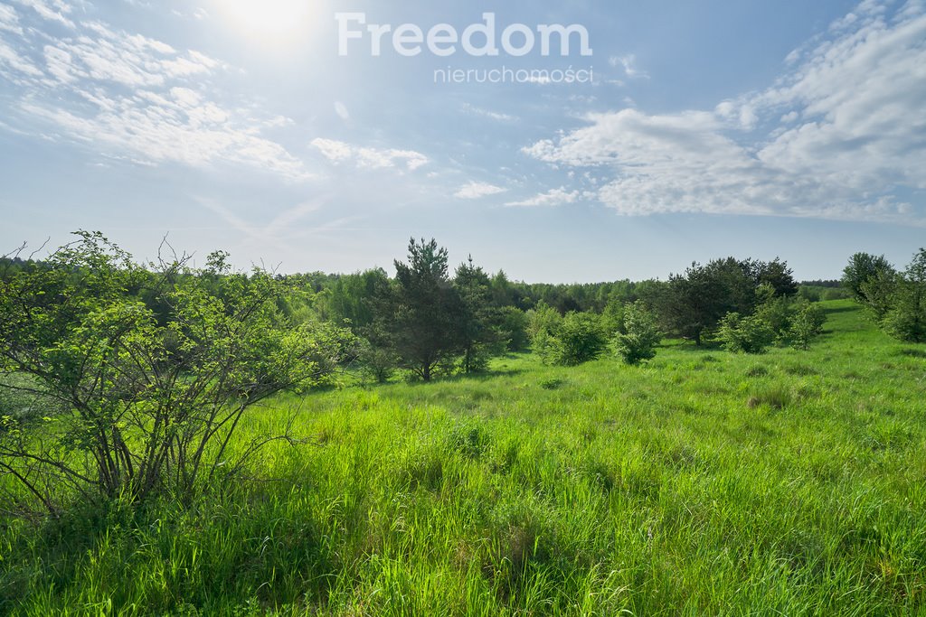 Działka budowlana na sprzedaż Kosewo  12 500m2 Foto 11