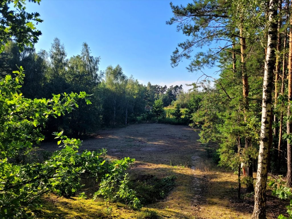 Działka budowlana na sprzedaż Kazuń-Bielany  1 000m2 Foto 7