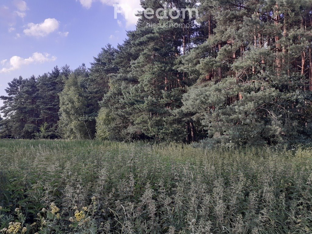 Działka leśna na sprzedaż Ciechocinek  20 573m2 Foto 1