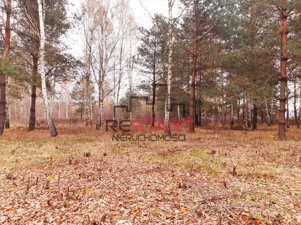 Działka budowlana na sprzedaż Osowiec  1 230m2 Foto 1