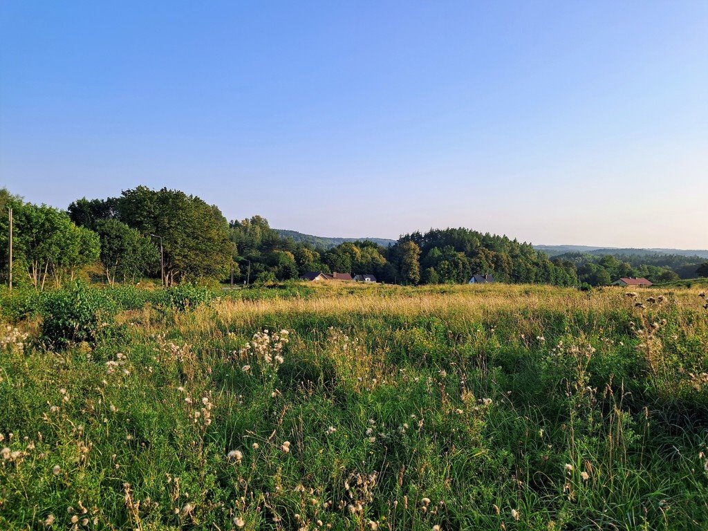 Działka przemysłowo-handlowa na sprzedaż Maks  7 280m2 Foto 5