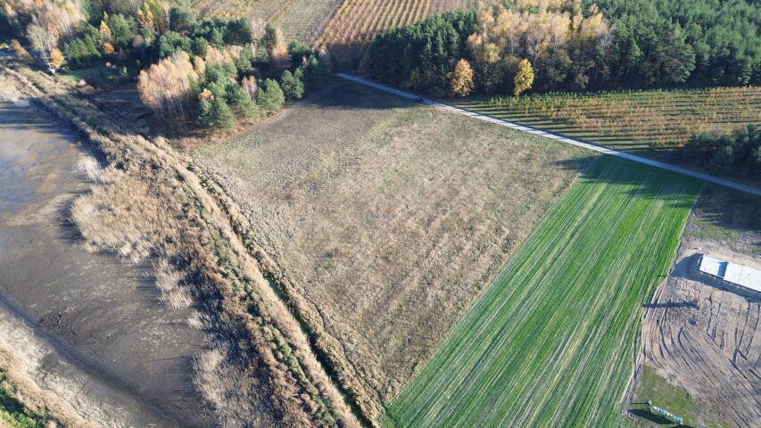 Działka rolna na sprzedaż Kolonia Jurki  14 677m2 Foto 3