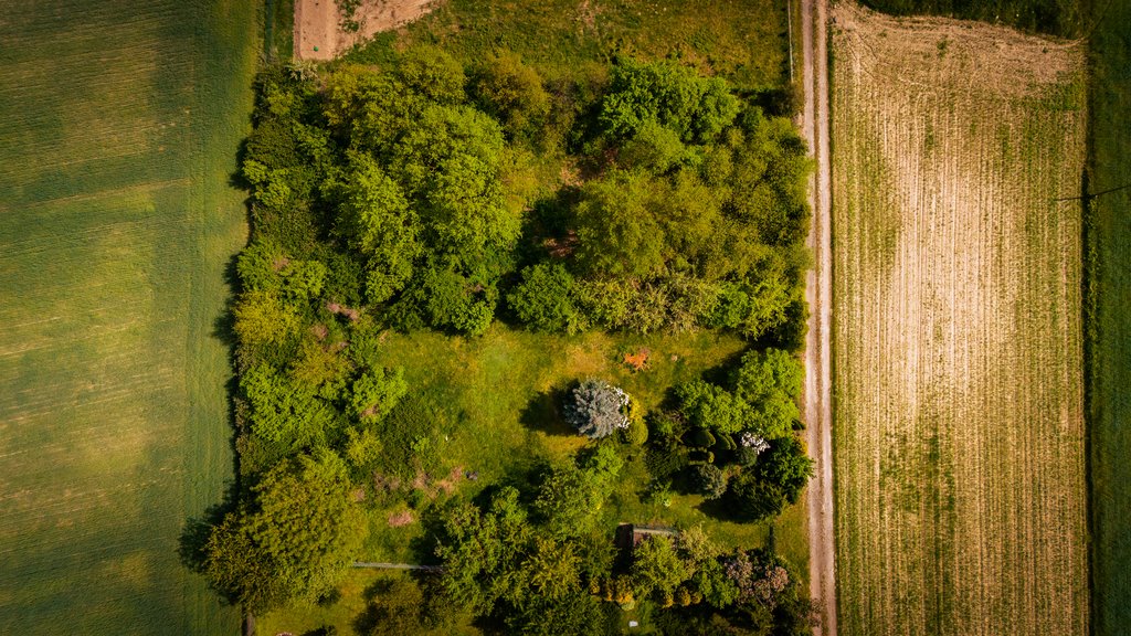 Działka budowlana na sprzedaż Poddębice  1 500m2 Foto 1