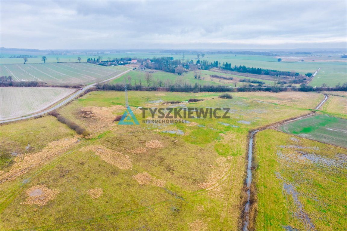 Działka rolna na sprzedaż Starkowo  6 500m2 Foto 6