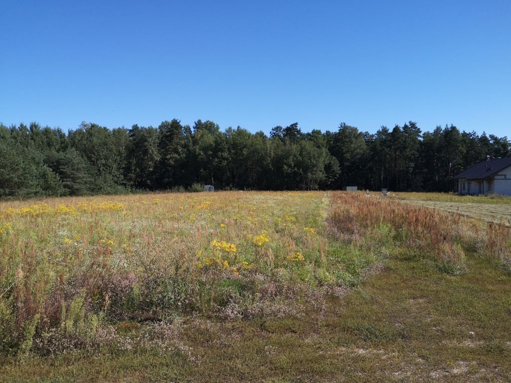 Działka budowlana 3035 m2 w Pietrzykach, las, spokój Pietrzyki  3 035m2 Foto 1