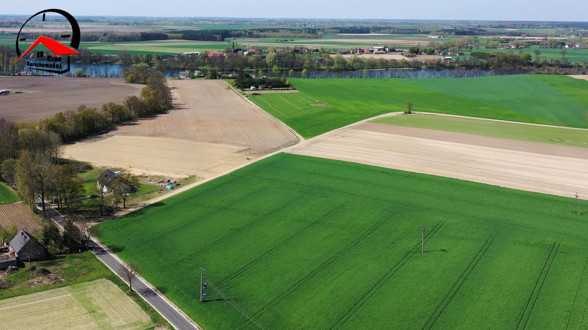 Działka budowlana na sprzedaż Skórki  1 560m2 Foto 6