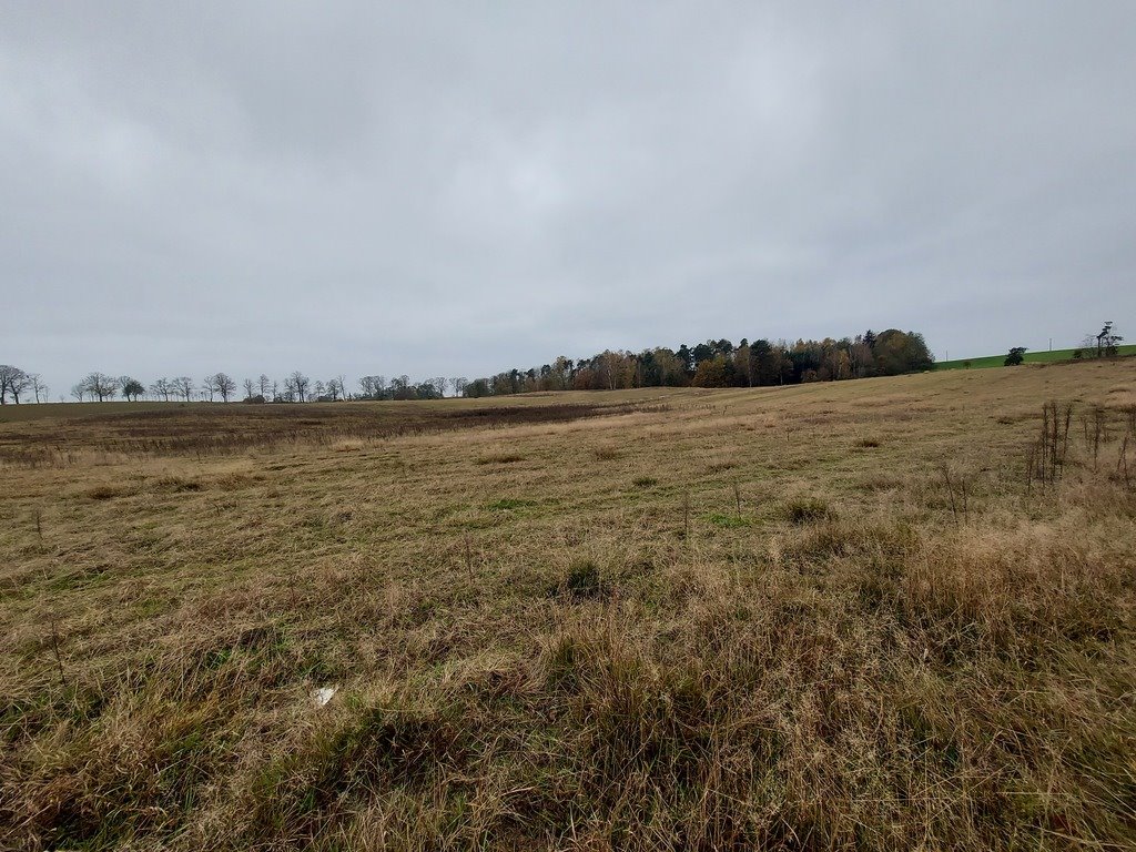 Działka budowlana na sprzedaż Izdebno  1 500m2 Foto 8