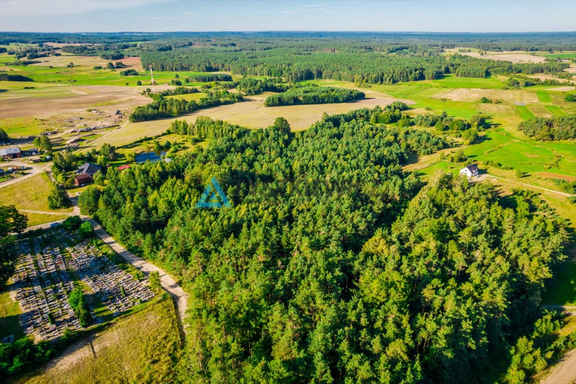 Działka siedliskowa na sprzedaż Rokity  10 001m2 Foto 7