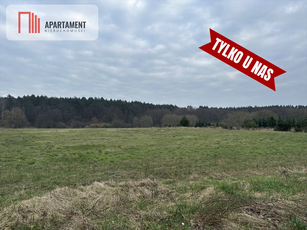 Działka budowlana na sprzedaż Jaracz  3 000m2 Foto 3