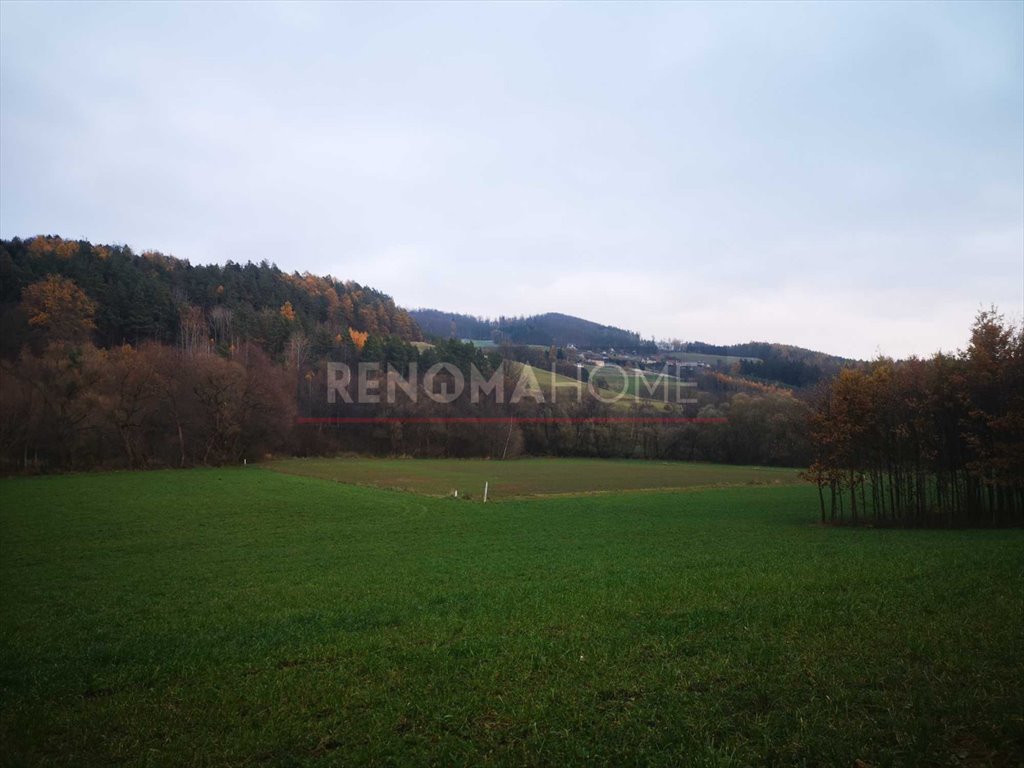 Działka budowlana na sprzedaż Święcko, Huberek  1 600m2 Foto 7